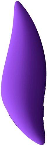 Leaf Plus Life Plus Purple Vibrator - Click Image to Close