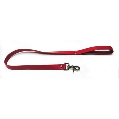 Leash Leather Red