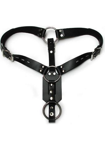 Anal Plug Harness W/Cock Ring - Click Image to Close