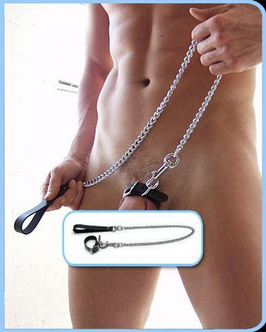 Buckling Cockring and Chain Leash Set - Click Image to Close