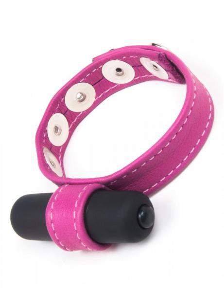 Joanna Angel Cock Ring with Bullet Vibe Pink - Click Image to Close