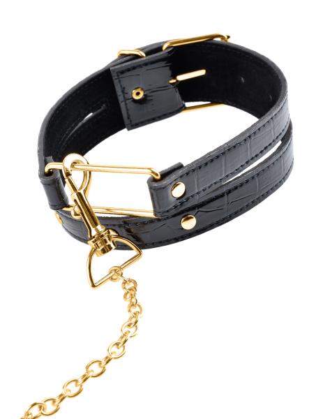 Fetish Fantasy Gold Collar and Leash - Click Image to Close