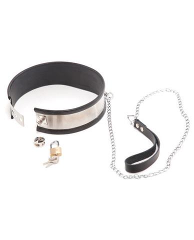 Steel Band Collar With Leash Large - Click Image to Close