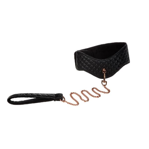 Entice Posture Collar with Leash - Click Image to Close