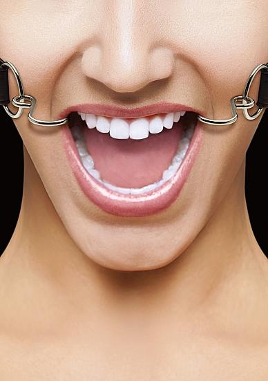 Ouch Hook Gag Black O/S - Click Image to Close