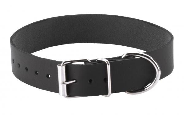 Plain Collar 1" with Buckle & D Ring - Click Image to Close