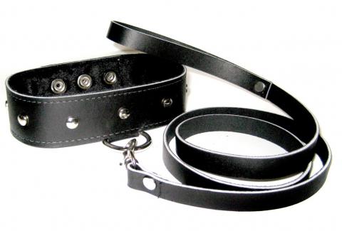 Leather Collar and Leash Set - Click Image to Close