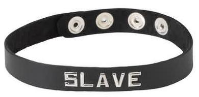 Sm Collar-Slave - Click Image to Close